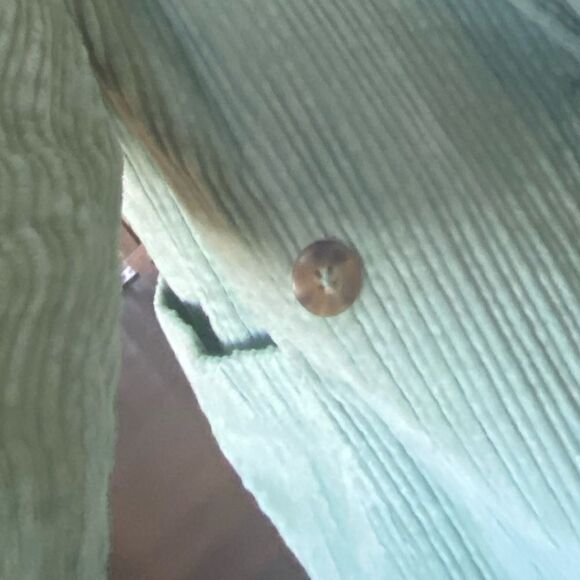 Free People velvet corduroy Blazer - Picture 6 of 11